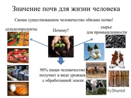 Prezentare pe tema resurselor de sol din Rusia