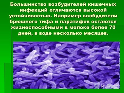 Prezentarea pe tema prevenirii infecțiilor intestinale acute în rândul copiilor de vârstă școlară