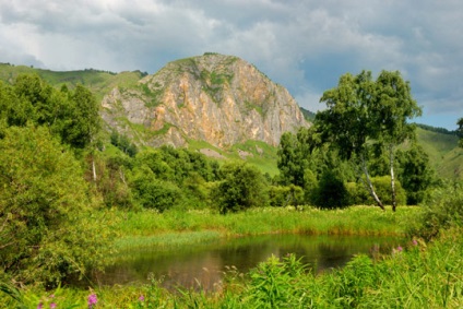 Natură în timpul verii