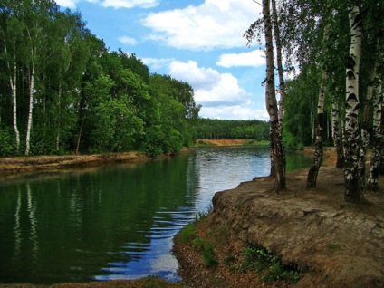 Natură în timpul verii