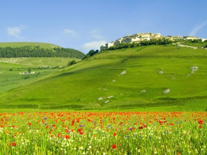 Natură în timpul verii