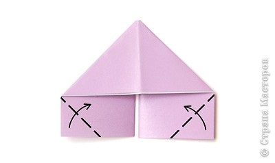 Rainbow lebădă - origami și alte farmece