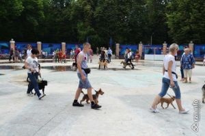 Rezidenții Ryazan au vizitat o expoziție de câini mongrel în tspokyo