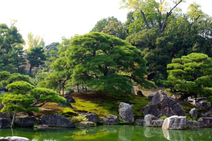 Castelul Nijo Gardens din Kyoto, arhitectura peisajului și clădirea verde