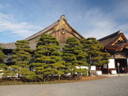 Castelul Nijo Gardens din Kyoto, arhitectura peisajului și clădirea verde