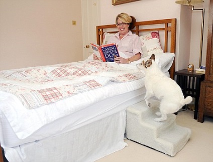 A leginkább kényeztetett kutya az Egyesült Királyságban