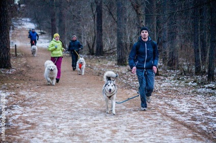 Școala de șah sport ekaterinburg - club - hei-hei