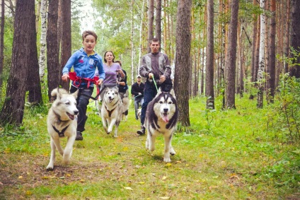 Școala de șah sport ekaterinburg - club - hei-hei