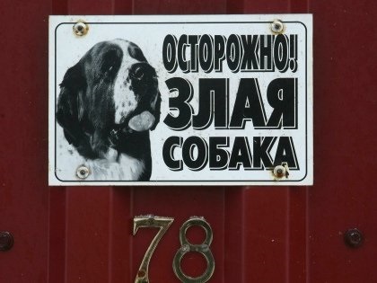 Locul liniștit al internetului rusesc pentru oamenii inteligenți - cum să vă protejați de atacul unui câine