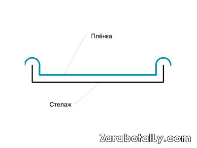 Rafturi pentru sere - cultivarea și forțarea cepei verzi