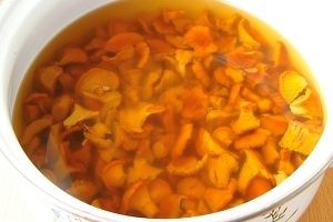 Supa cu chanterelles (proaspete, congelate, uscate) retete
