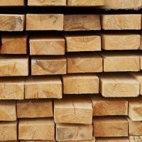Proprietăți și utilizarea lemnului de cedru