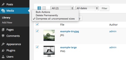 Wordpress compresie imagine în mod automat, wordpress mania