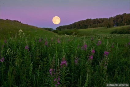 Acolo, unde este luna mare