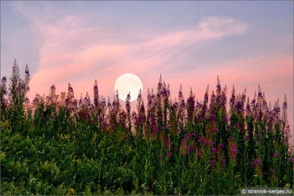 Acolo, unde este luna mare