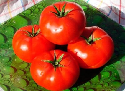Tomato bobkat caracteristicile și descrierea soiului, recenzii, fotografie, productivitate - eHotel