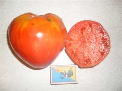 Tomato - fatima, caracteristicile și descrierea soiului, randament, fotografie