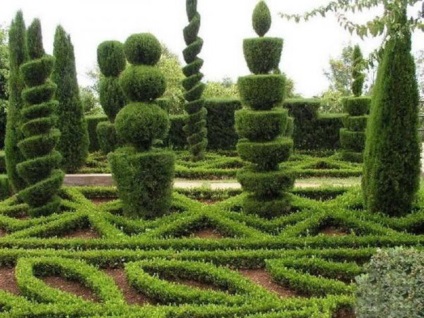 Topiary în grădină