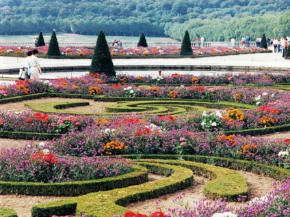 Topiary în grădină