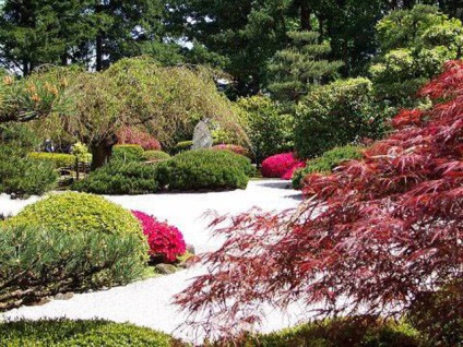 Topiary în grădină