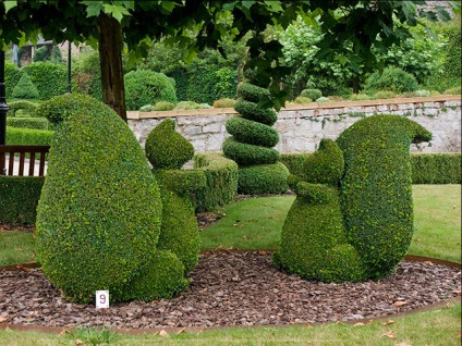 Topiary a kertben