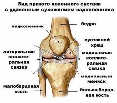 Leziuni ale genunchiului, clinica hirudoterapie - tratament cu lipitori în Kiev