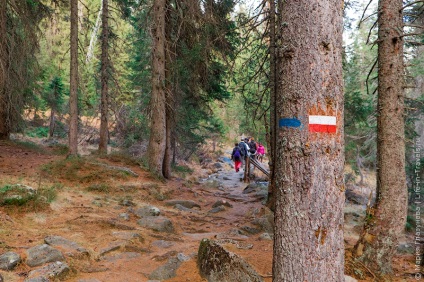 Trekking în Madonna di Campiglio - Parcul Național Adamello-Brent, Alpii dolomiți