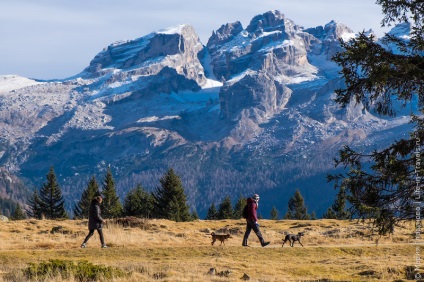 Trekking în Madonna di Campiglio - Parcul Național Adamello-Brent, Alpii dolomiți