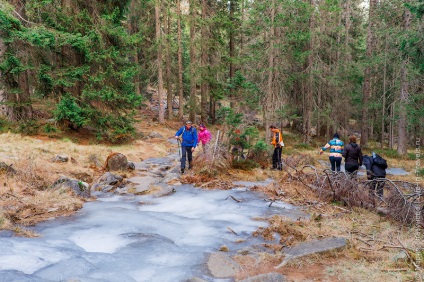 Trekking în Madonna di Campiglio - Parcul Național Adamello-Brent, Alpii dolomiți