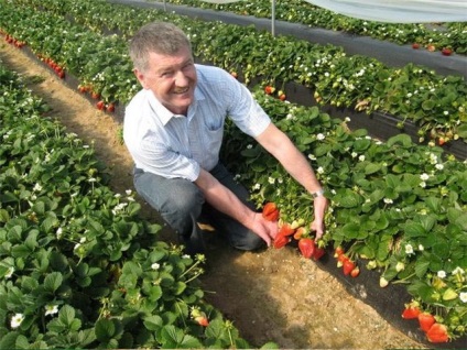 Aterizare inteligentă - cheia succesului! Sau agricultura naturala