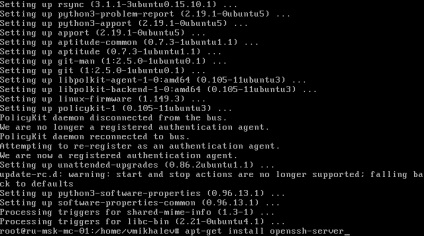 Instalarea webmin pe serverul ubuntu, vmkh