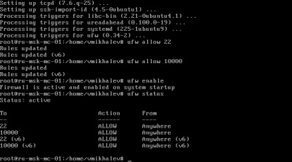 Instalarea webmin pe serverul ubuntu, vmkh