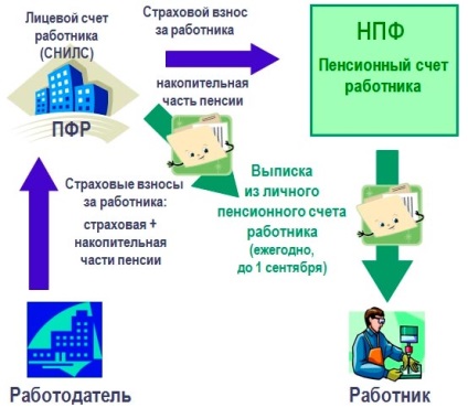 Pentru a afla economiile de pensii ale melcilor - în fondul de pensii