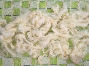 Felting tratamentul primar de lână