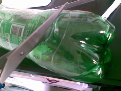 Broasca veselă dintr-o sticlă de plastic