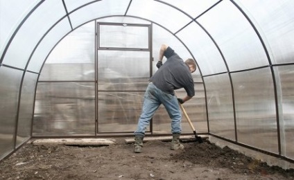 Cultivarea tomatelor într-o seră din policarbonat