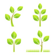 Plante de Cultivare Plante Blank download 1 000 clip art (Pagina 1)