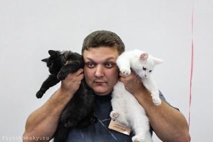 Expoziție de pisici din Minsk (21-22 septembrie) - în lumea interesant
