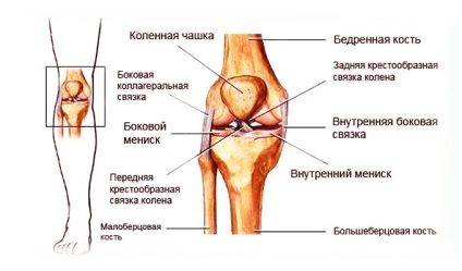 Dislocarea piciorului inferior
