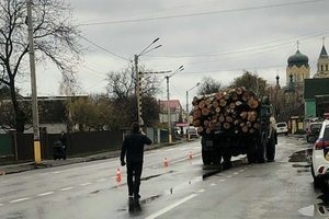 Mexikóban a disznó elhalt a gazdálkodó péniszén és ujjaiban