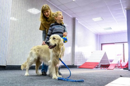 În Novosibirsk, câinii trăiesc copii