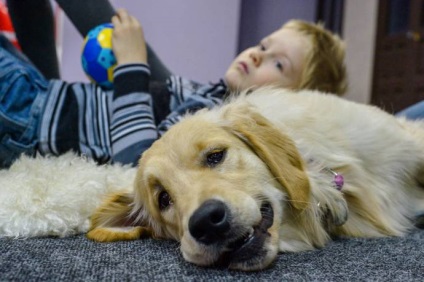 În Novosibirsk, câinii trăiesc copii