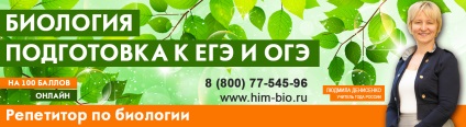 Himbo - cum să alegi un tutore