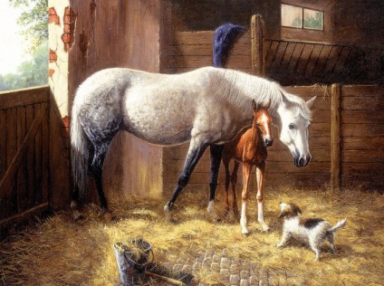 Művész bonnie marris, gyönyörű lovak
