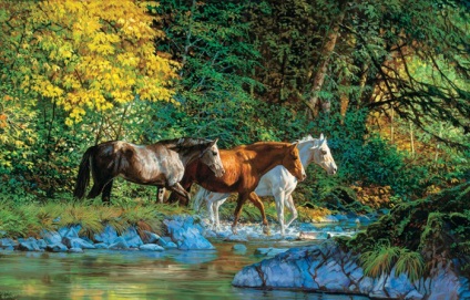 Művész bonnie marris, gyönyörű lovak