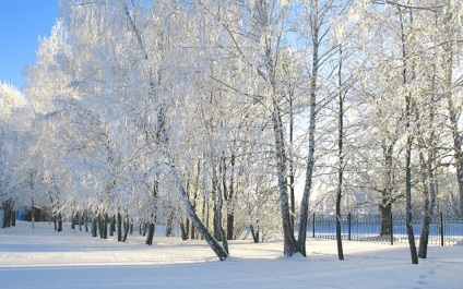 Január, az emberek jelzései, közmondásai, mondásai, rituálék, zatusim!