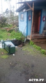 Южносахалинск, мечка, убита куче и уплашени жители на предградията