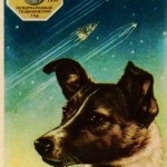 Animale - astronauți - portul bibliotecii