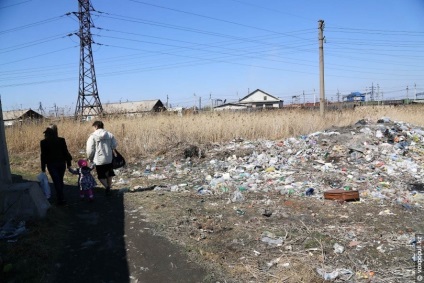 Життя на болоті