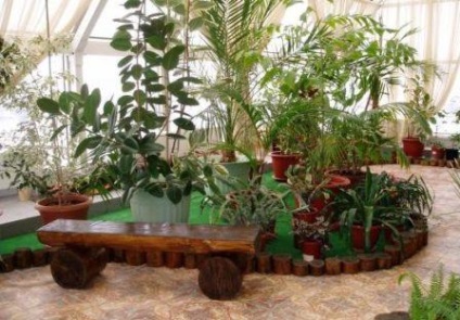 A Winter Garden szabályai a kompozíciók kialakításához és a design kiválasztásához